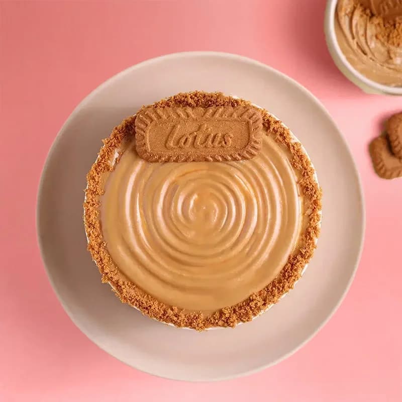 Choco Bliss Biscoff Cake Delice — view 2 of 3