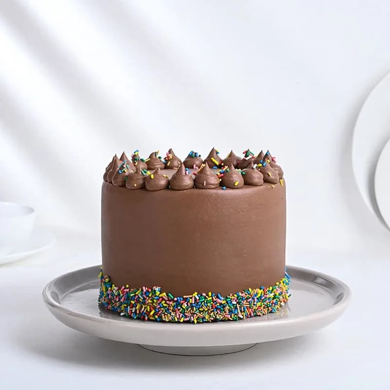 Sprinkled Rainbow Chocolate Cake Delice — view 3 of 5