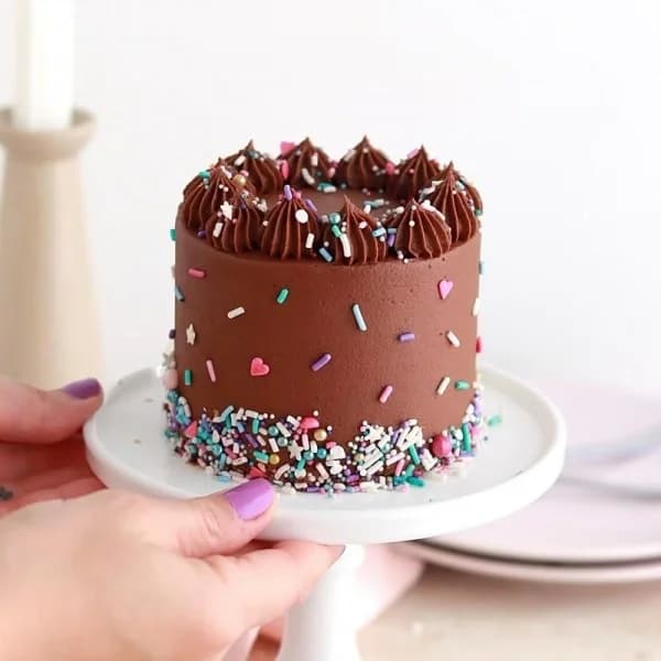 Sugarfree Chocolate Mini Cake Delice — view 1 of 1