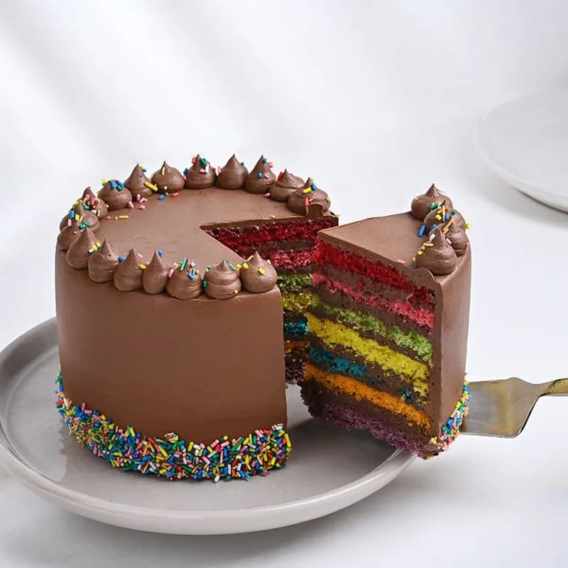 Sprinkled Rainbow Chocolate Cake Delice — view 5 of 5