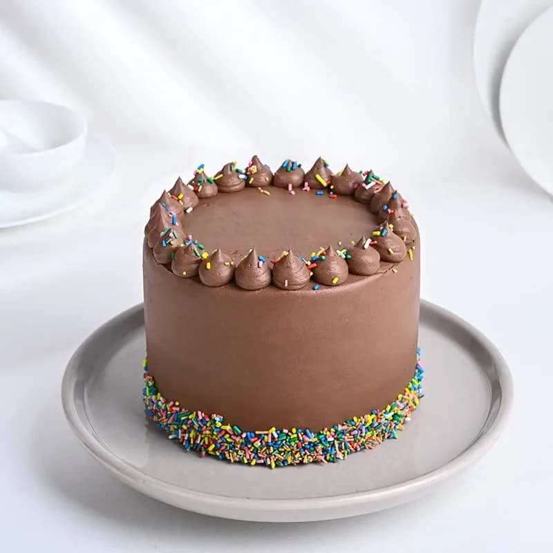 Sprinkled Rainbow Chocolate Cake Delice — view 2 of 5
