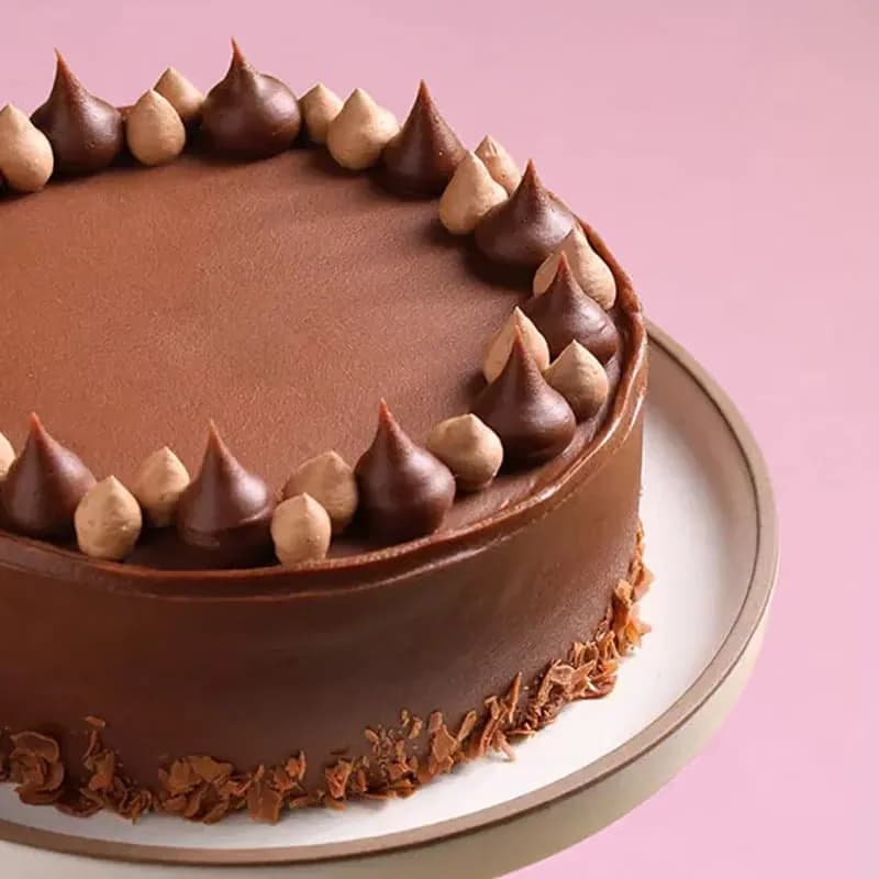 Silky Milk Chocolate Cake Delice — view 2 of 5