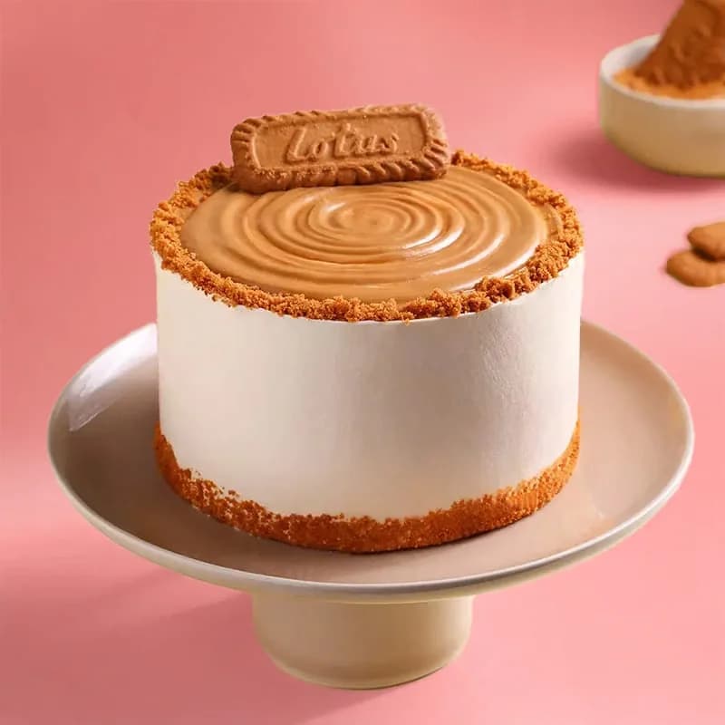 Choco Bliss Biscoff Cake Delice — view 3 of 3