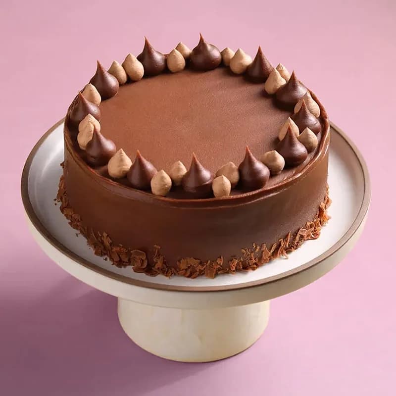 Silky Milk Chocolate Cake Delice — view 3 of 5