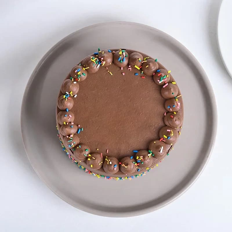 Sprinkled Rainbow Chocolate Cake Delice — view 4 of 5
