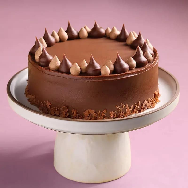 Silky Milk Chocolate Cake Delice — view 1 of 5