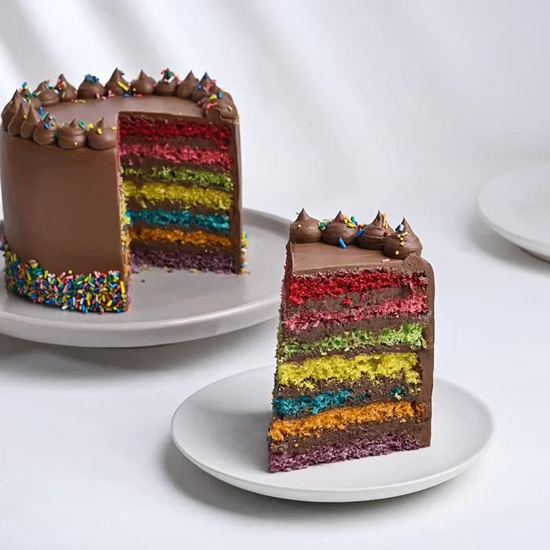 Sprinkled Rainbow Chocolate Cake Delice — view 1 of 5