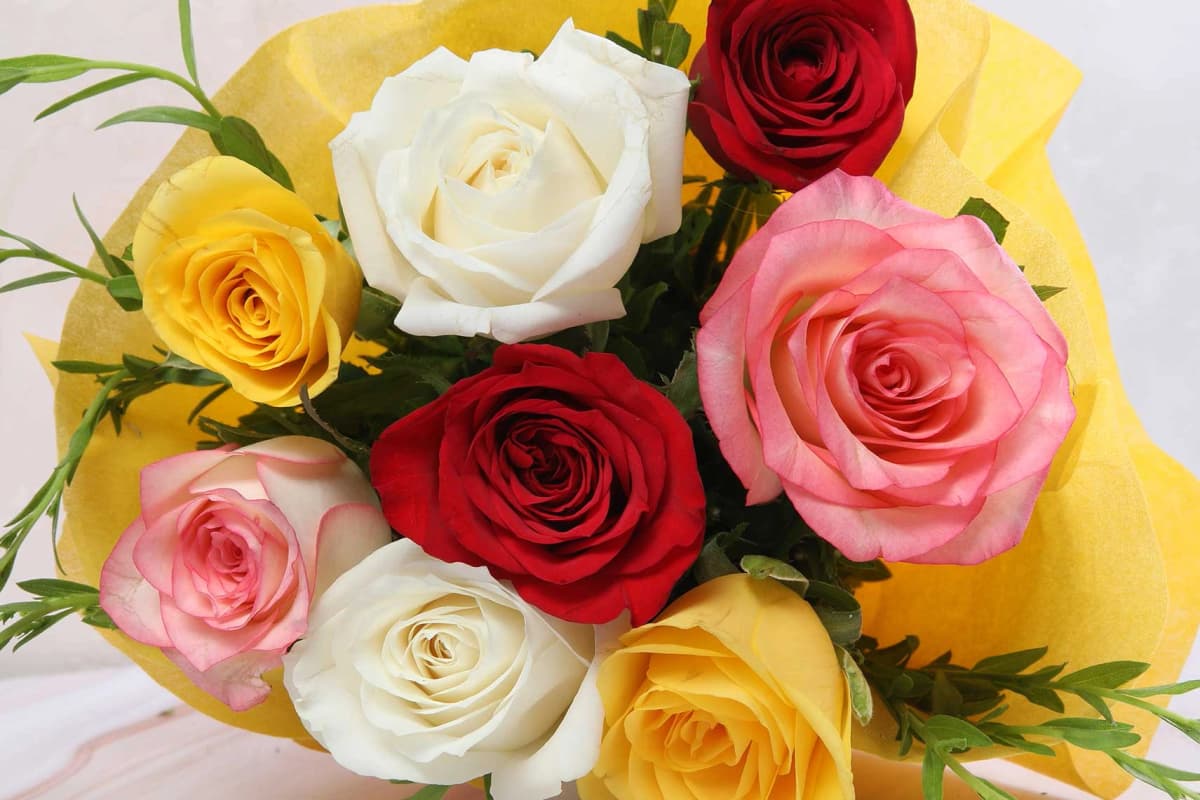 Eight rose Flowers  bouquet with yellow wrapping — view 3 of 4