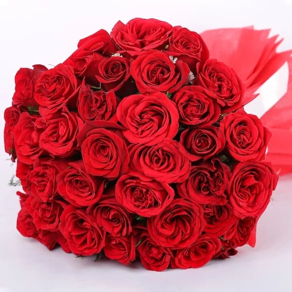 For Someone Special Red Roses in Red Packing Bouquet — view 4 of 4