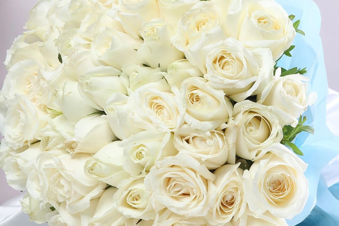 White falcon Flowers  bouquet — view 2 of 3