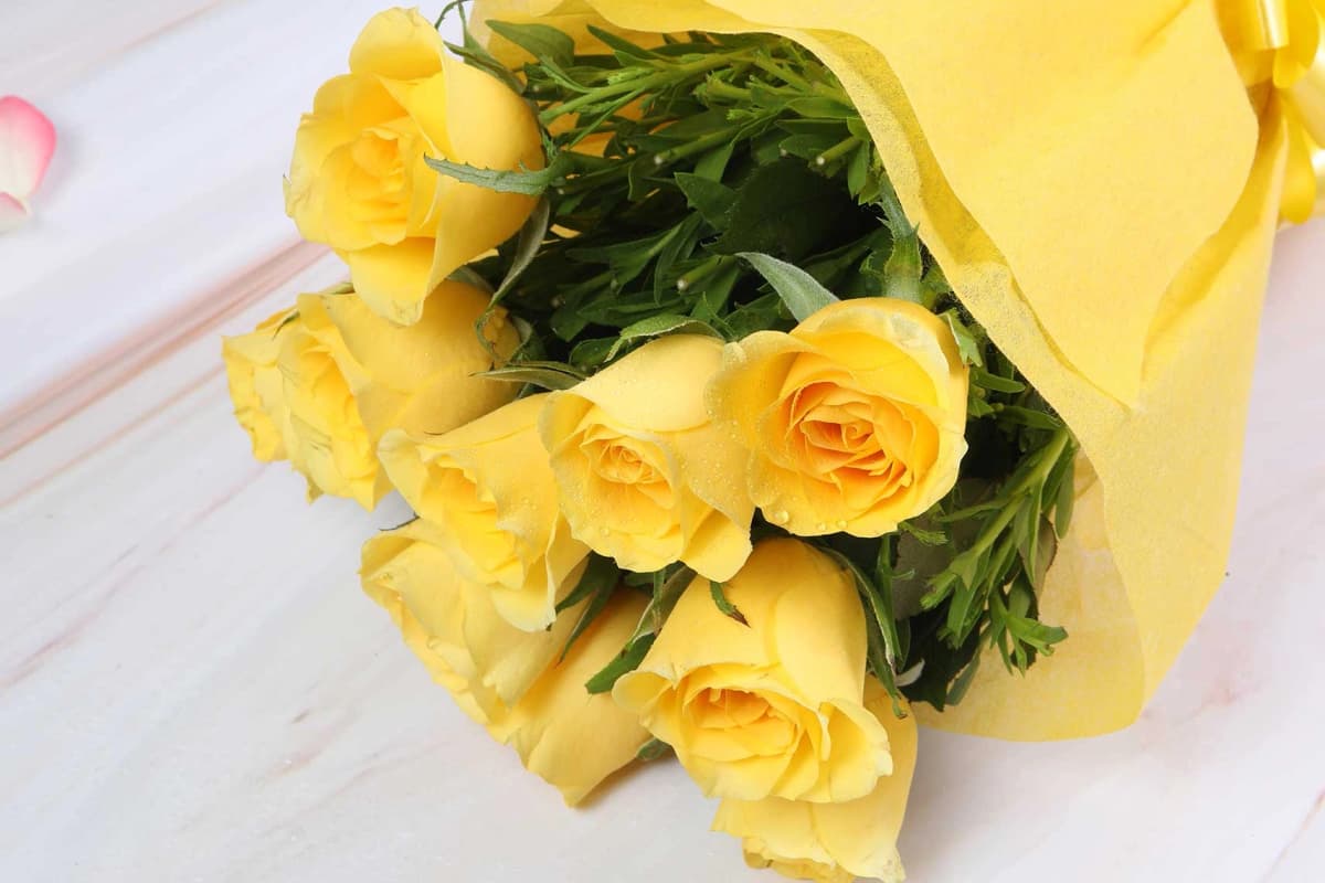 Yellow warming roses Flowers — view 3 of 4