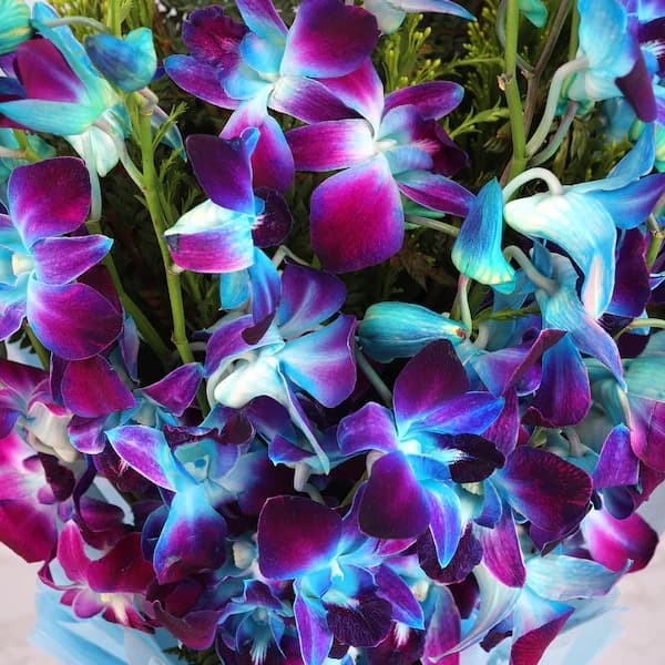 Enchanted Bloom Standard Flowers Bouquet — view 2 of 3