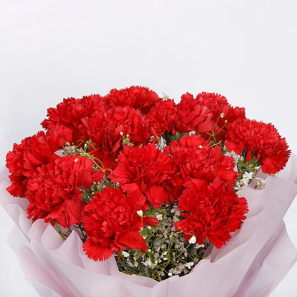 12 Red Carnations Bouquet — view 3 of 3