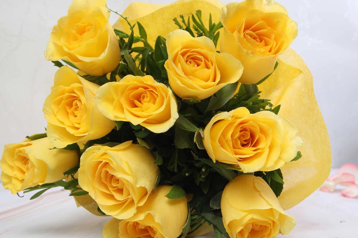 Yellow warming roses Flowers — view 2 of 4