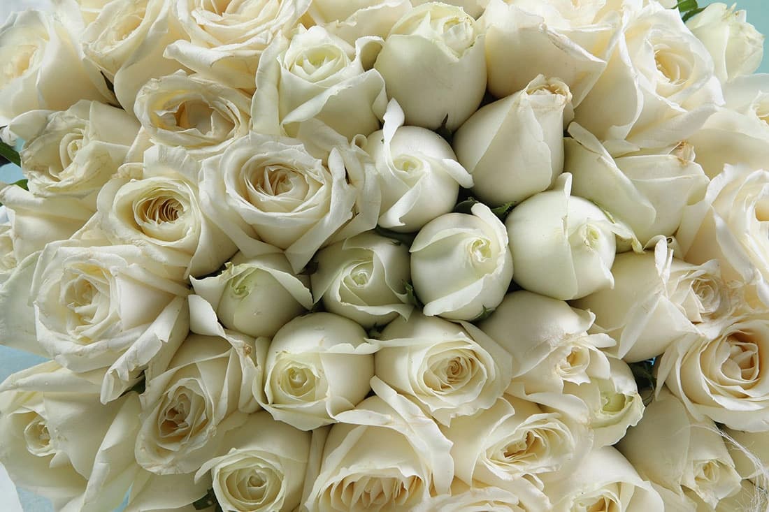 Pearl White Flowers  rose bunch — view 3 of 4