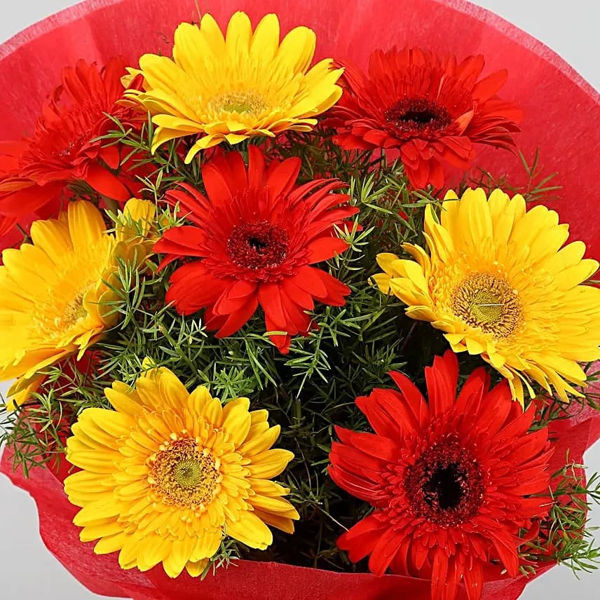 Glorious Red & Yellow Gerbera Blossoms Flowers  Bouquet — view 2 of 4