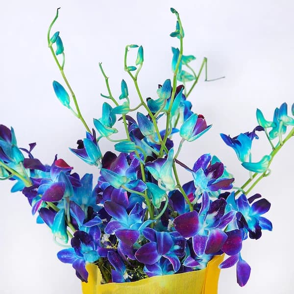 Elegantly Blue Bouquet — view 2 of 2