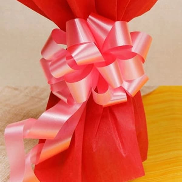 10 Red and Pink Roses Flowers Bouquet — view 3 of 3