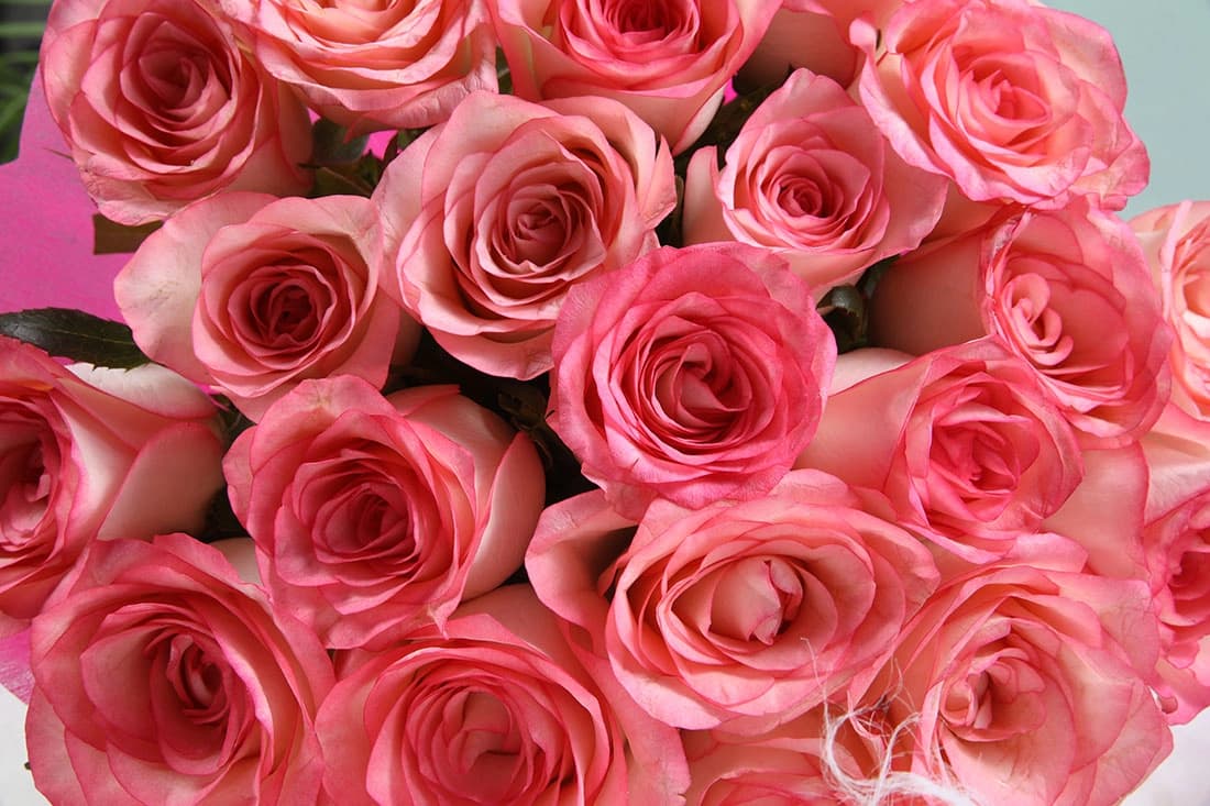 Flourescent pink Flowers  rose bouquet — view 3 of 3