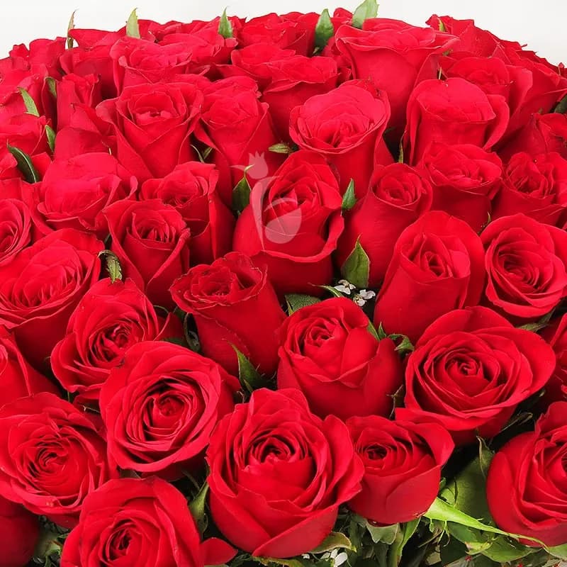 Blooming Love Of 150 Roses Bouquet — view 3 of 3