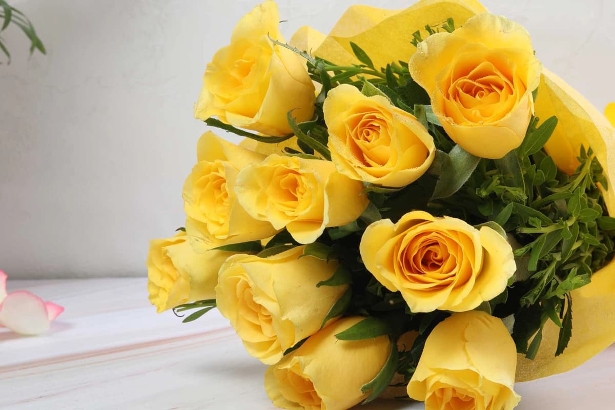 Yellow warming roses Flowers — view 4 of 4