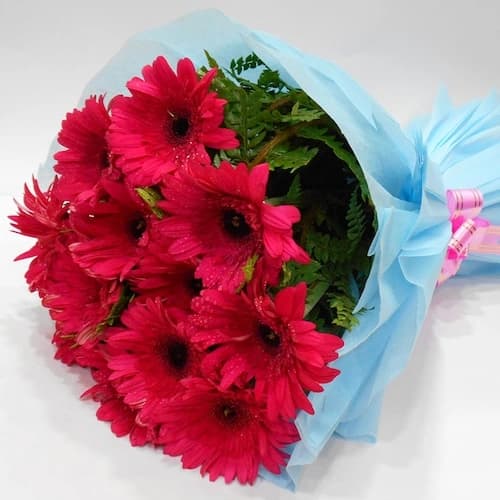 Serene Beauty A bunch of Pink Gerbera flowers Bouquet — view 1 of 2