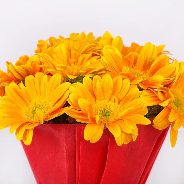 Happy Splashy Gerberas Bouquet — view 2 of 2