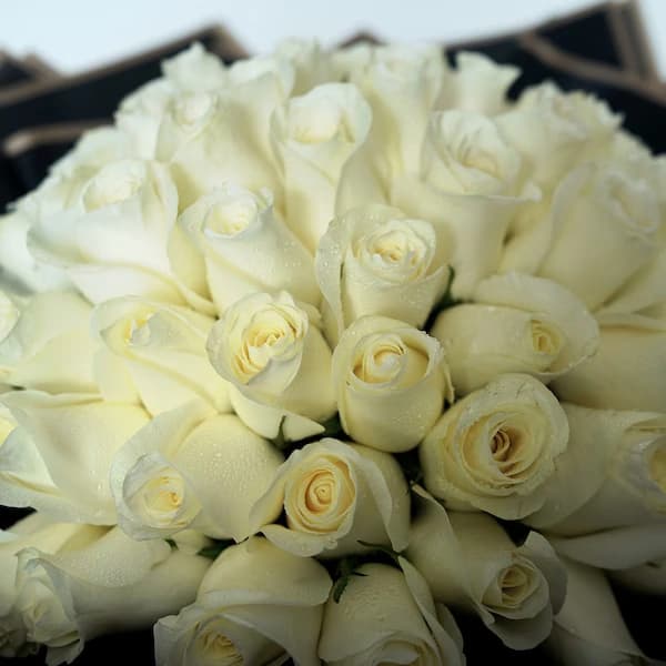 Pure Peaceful White Flowers  Roses — view 3 of 3