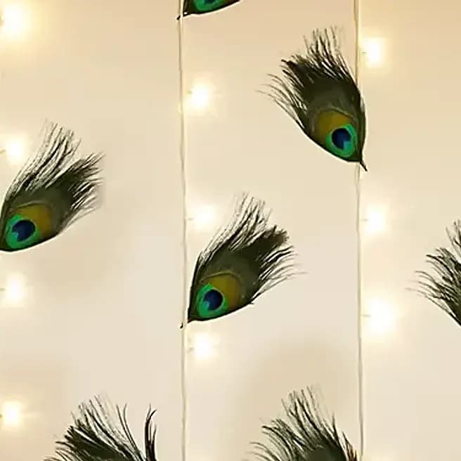Ganesh Chaturthi Peacock Glow Decor Set — view 3 of 3