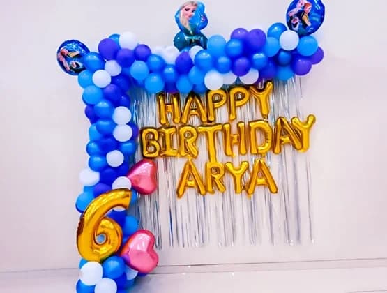 Disney Frozen Themed Birthday Decor Set — view 1 of 1